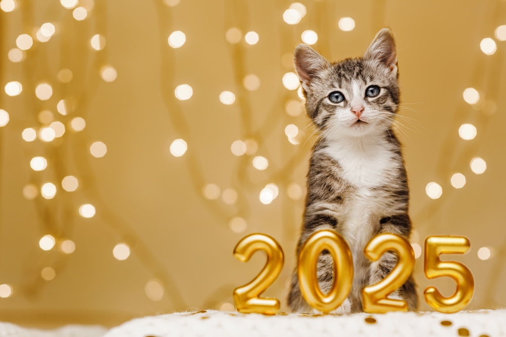 New Years Pet Safety Tips