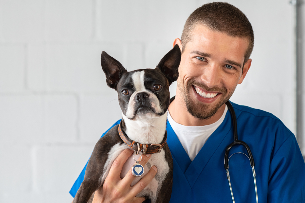 Preparing For Your Pets Next Checkup